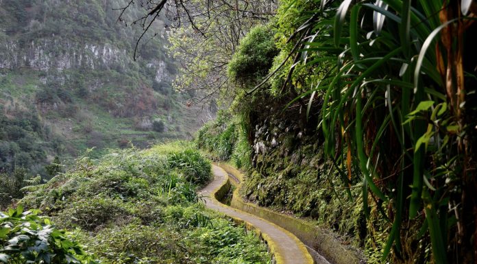 mooiste levadawandelingen op madeira