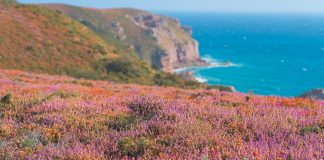 Bijzondere accommodaties in Bretagne Kust