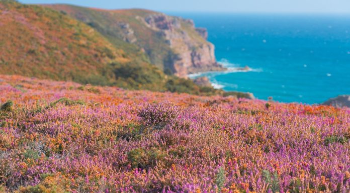 Bijzondere accommodaties in Bretagne Kust