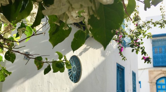 blauw witte huisjes sidi bou said