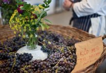 tina_stafrén-shopping_at_a_farm_shop-6305