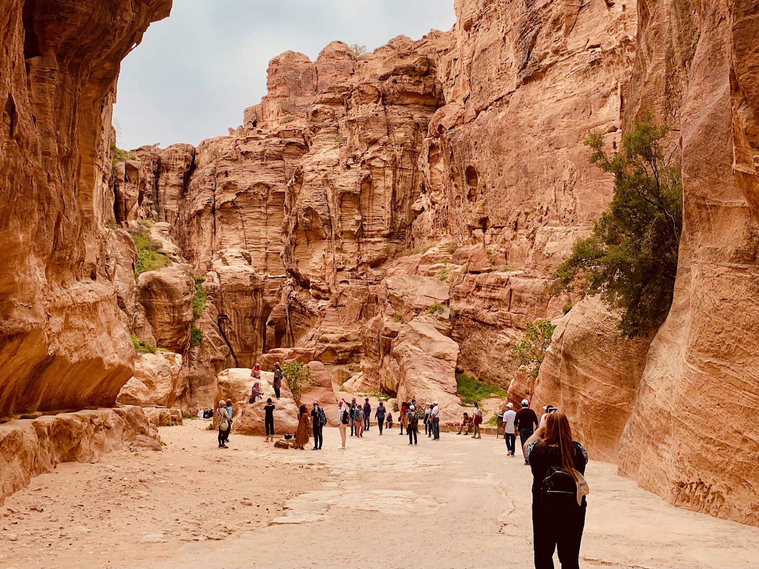 De siq kloof Petra in Jordanië