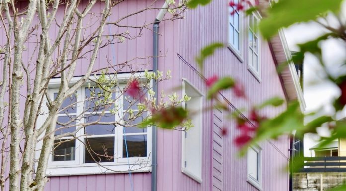 roze huis Sørvàgur