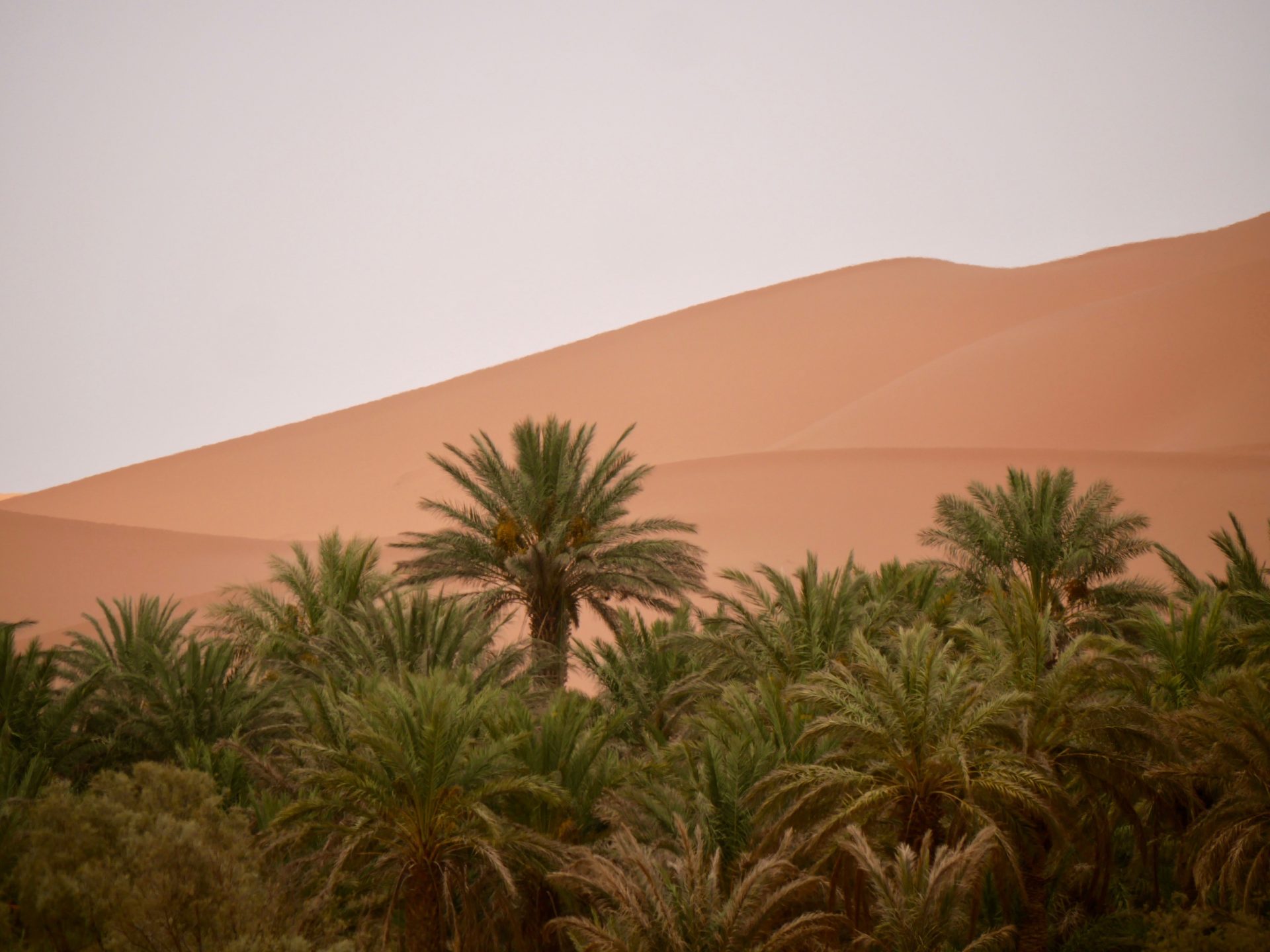 Erg Chebbi woestijn