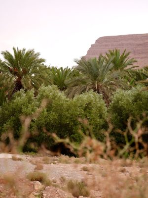 Ziz Valley, wat is het mooiste fotopunt?