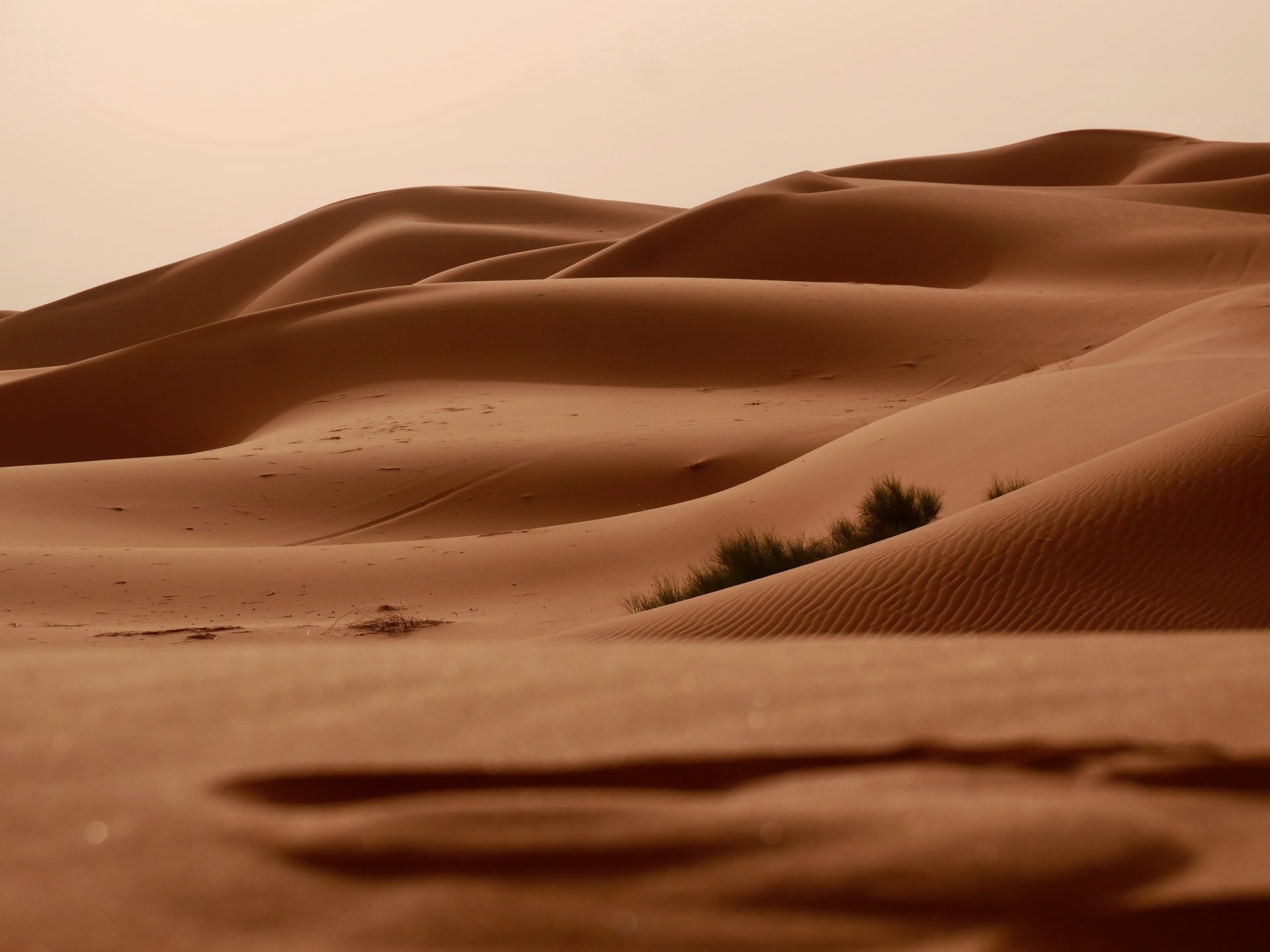 merzouga woestijn