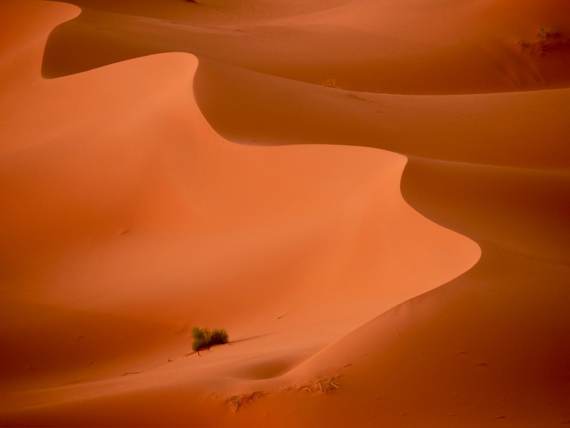 mooie zandduinen erg chebbi merzouga