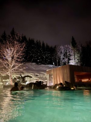 Forest Lagoon, een idyllisch geothermaal bad bij Akureyri