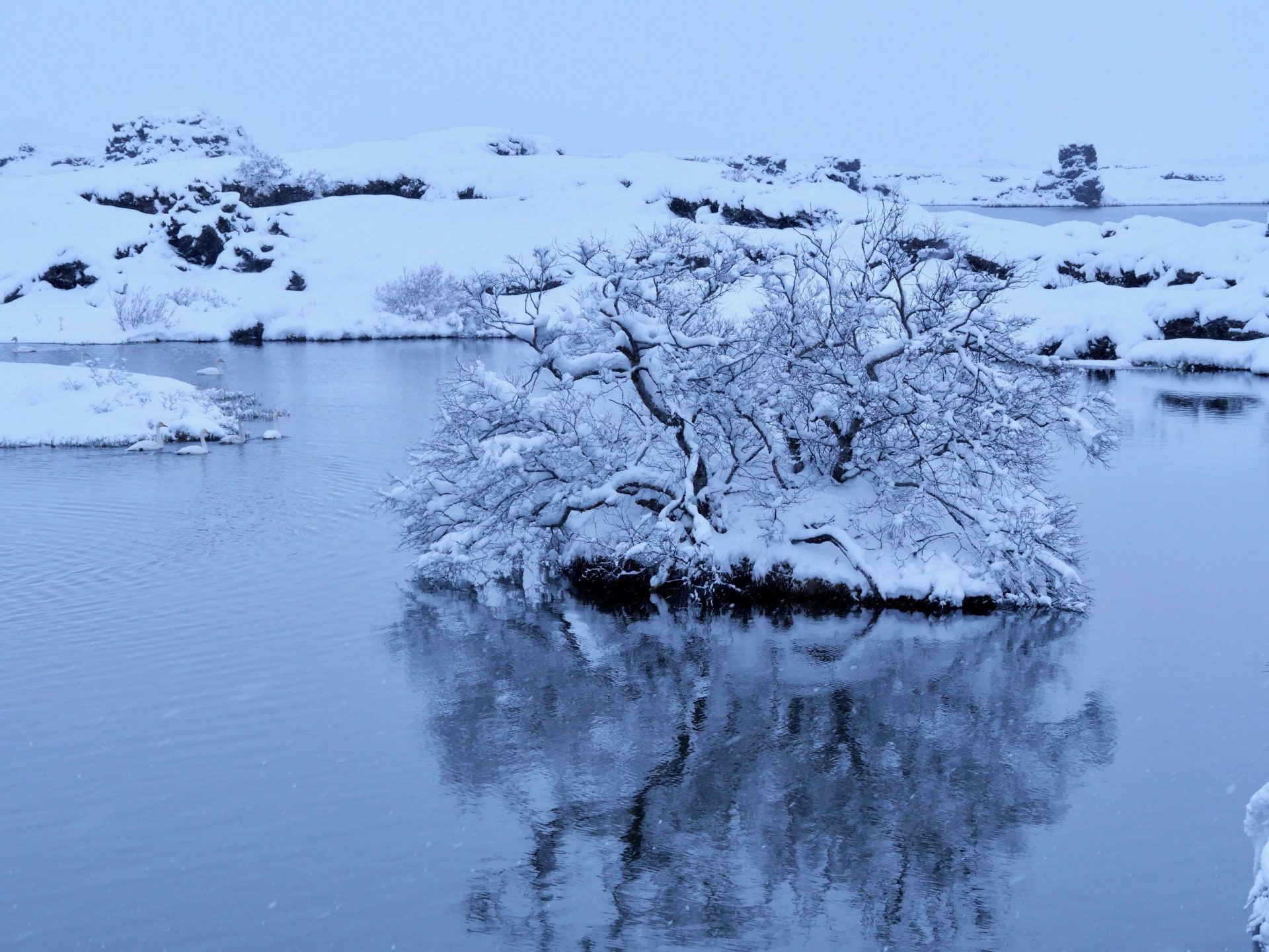 sneeuwlandschap diamond circle in de winter