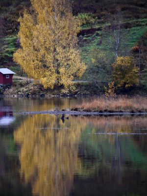 Dalen in Noorwegen, een mooie plek in Vestfold og Telemark