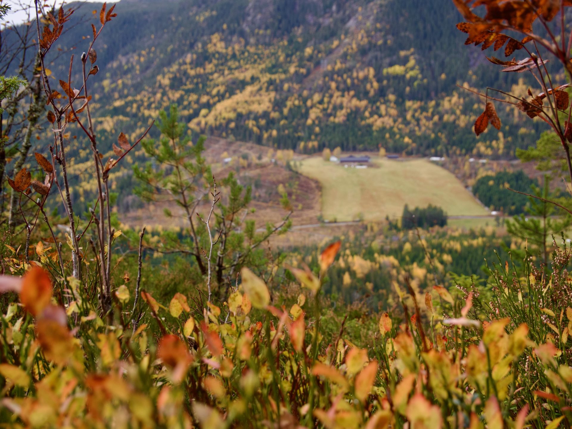 Herfst bij de ravenkloof