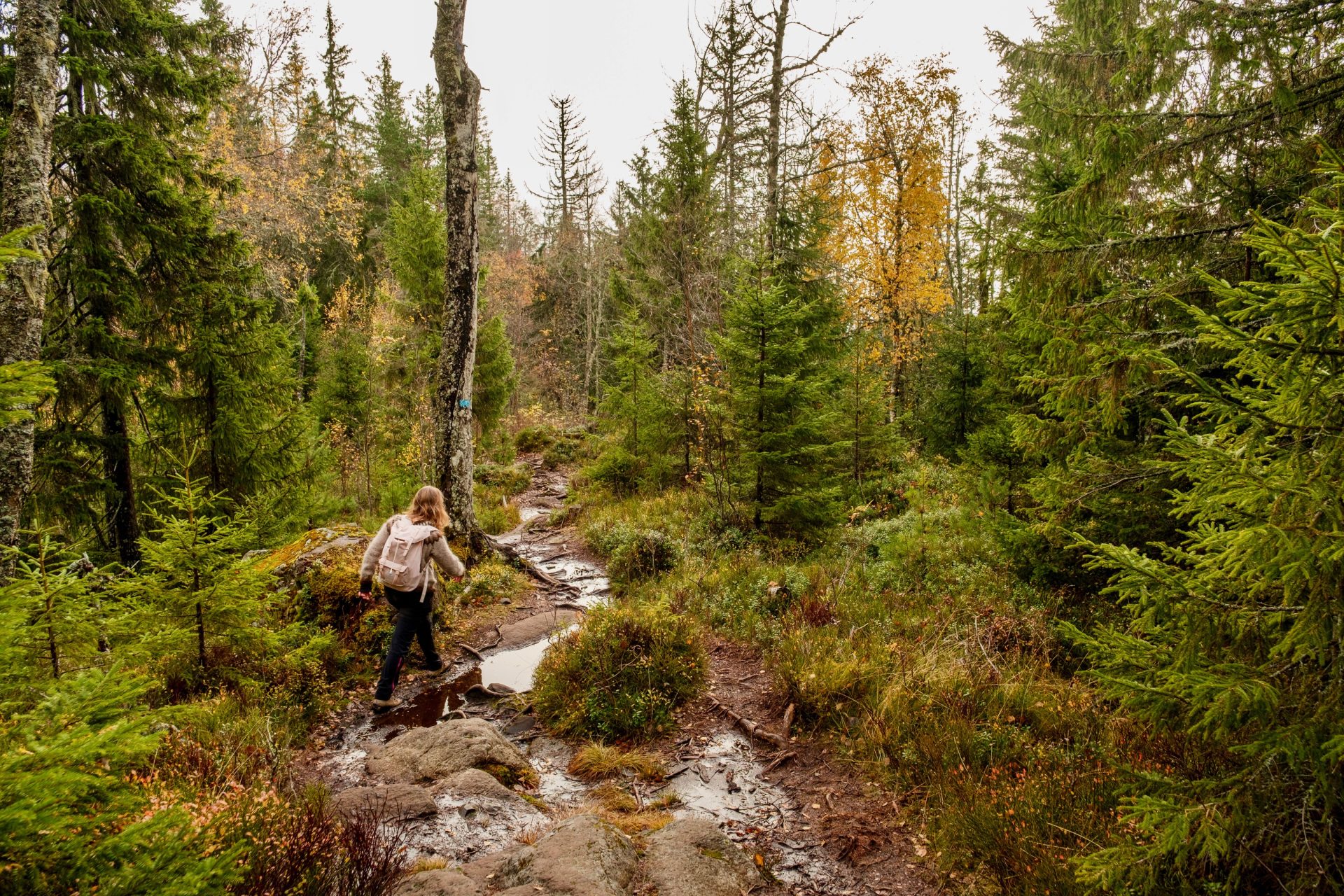 Mørkgonga hike