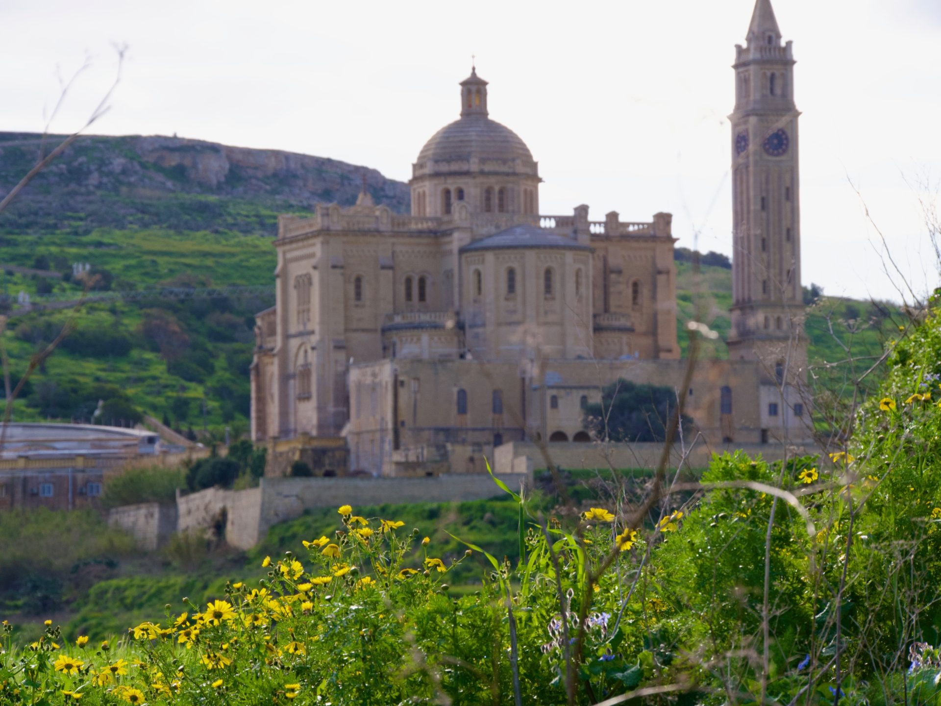 Ta’ Pinu Basiliek