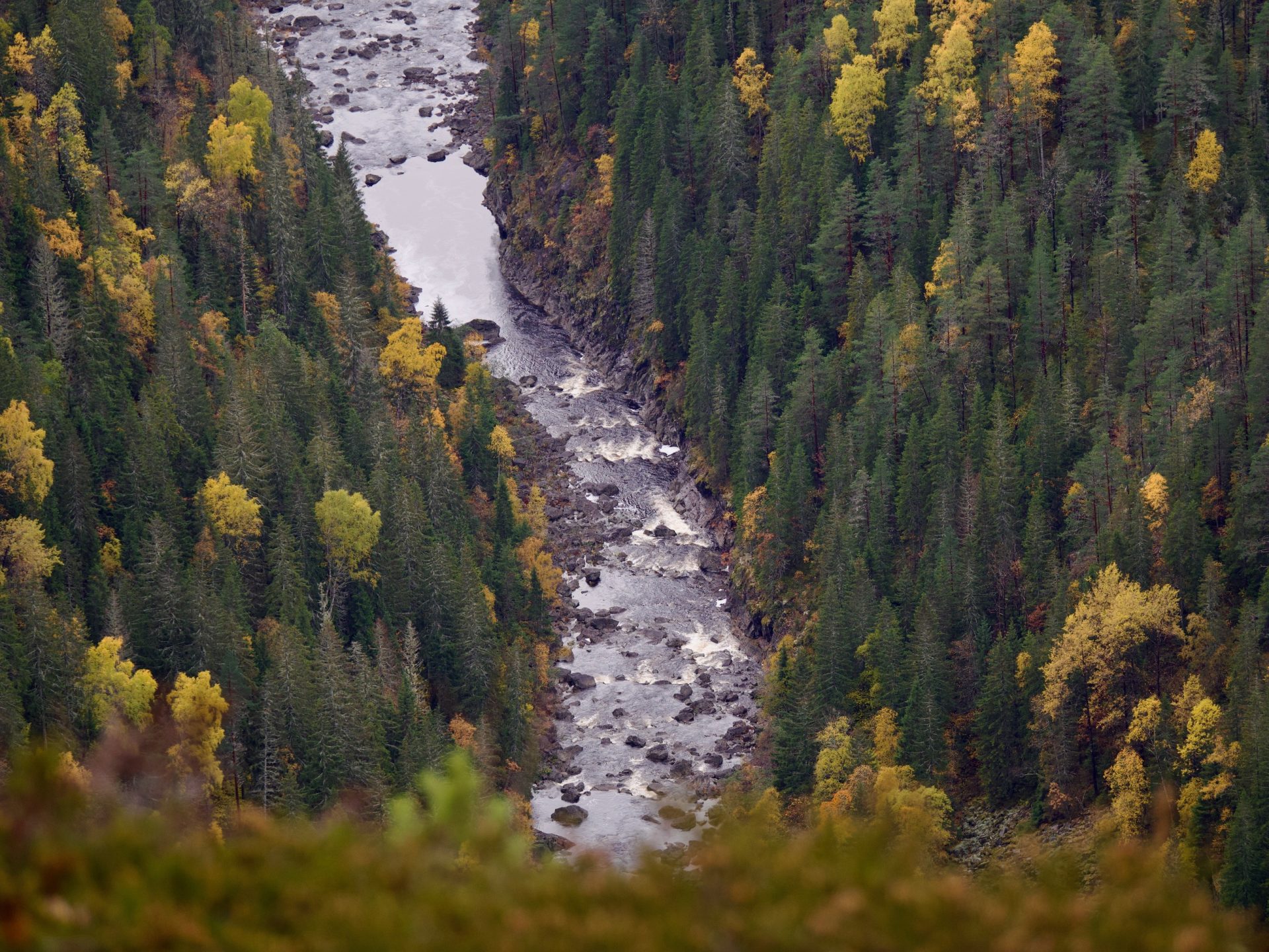 Tokkeåi rivier