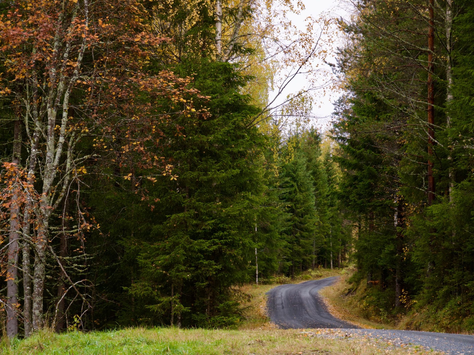 weg naar Ravenkloof in Noorwegen