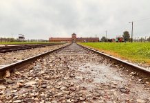 spoor birkenau